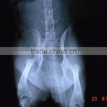 medical thermal x ray film,medical equipment dealer ,hologram thermal lamination film