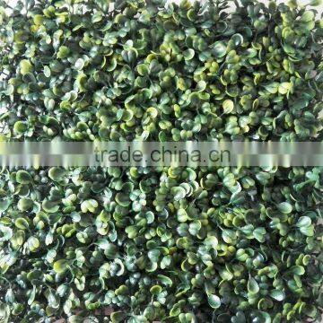 Boxwood grass mats plastic grass carpet for garden ornaments