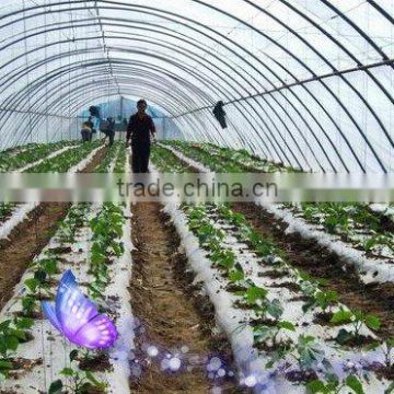 agricultural mulch film