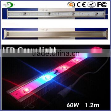 60W pink led grow light manufacturer