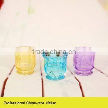 glass flower pot for home decoration