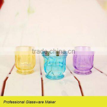 Glass Flower Pot for Home Decoration