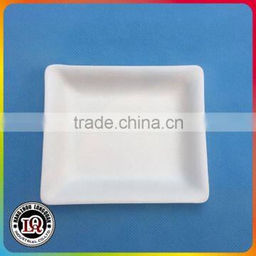 Biodegradable Bagasse Square Mini Dinner Tray