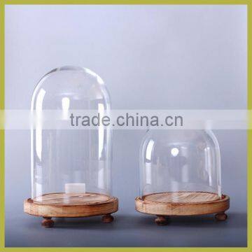 flower glass dome with wooden base set of 2