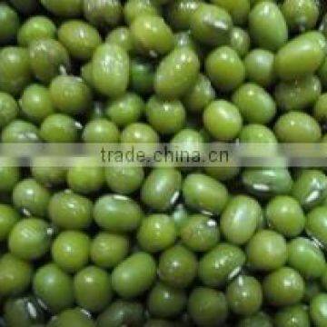 supplying GREEN MUNG BEANS (CHINA)for sale