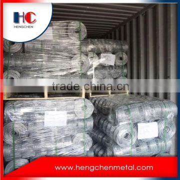 Factory supply hot dipped galvanized metal grassland fencing mesh