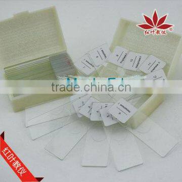 high diopter and quality onion reduction mitosis microscope prepared slides