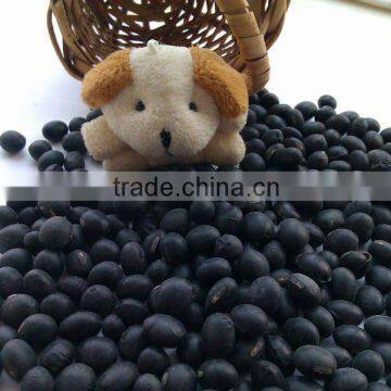 Black Soybean with Yellow Inside