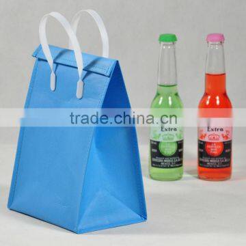 ice cream cooler bag