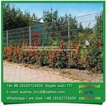 Decorative PVC Coated Double Rod Welded Wire Fence 868 Double Fencing photo-5