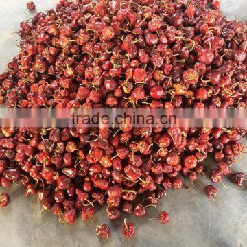 Dry Round Red Chilli From India photo-3