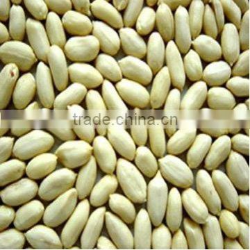 Good Qality Chinese Peanuts Long Type 24/28