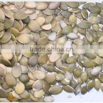 Pumpkin Shine Skin Factory From Origin of Country photo-2