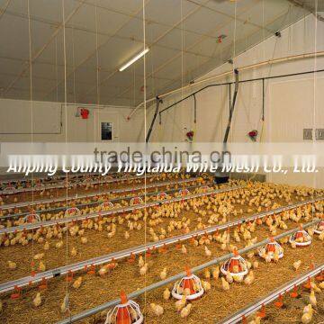 Height Adjustable Automatic Auger Broiler Chicken Feeding Equipment