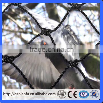 virgin hdpe anti bird net white colour for agricultural or fruits trees with uv(Guangzhou Factory)