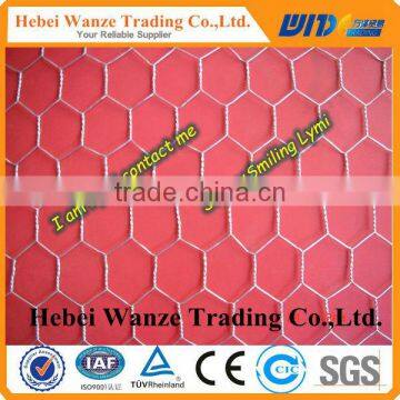 Hexagonal wire netting / wire mesh panels / aviary wire mesh for factory