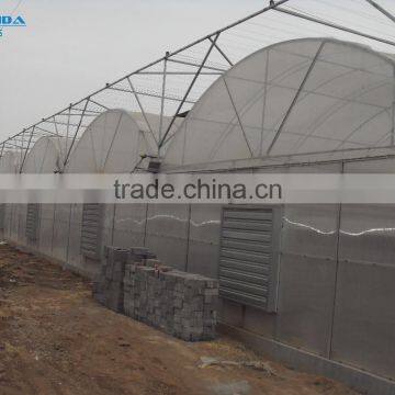 Cheap Easily Inatalled Plastic Film Vegetable Greenhouse