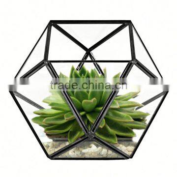 Yiwu Direct Wholesale,cheap Price Cacti Holder Case & Glass Terrarium Diamond photo-2