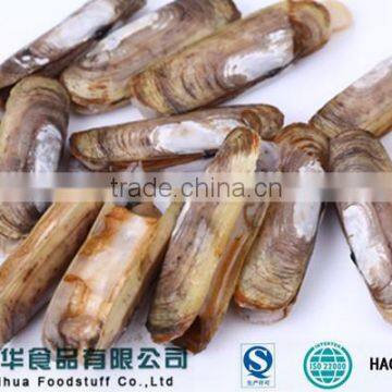 Frozen Razor Clam in Shellfish Frozen Seafood Exporters photo-2