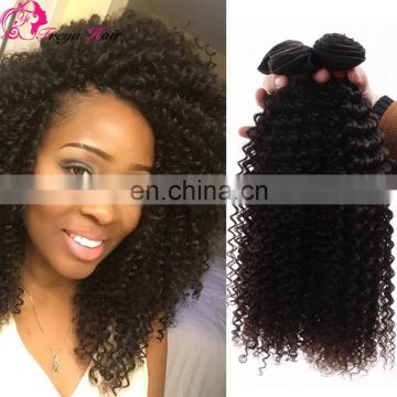 Best Selling Best quality virgin Brazilian Kinky Curly Hair virgin hair extension