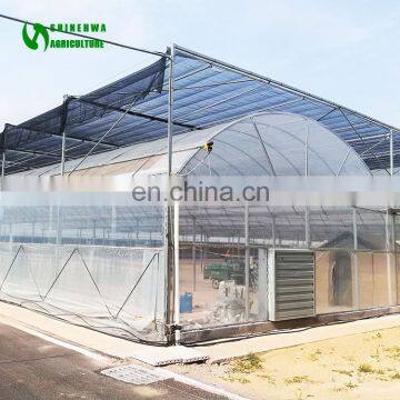 Cheap Chinese Tunnel Plastic Film Agriculture Greenhouse
