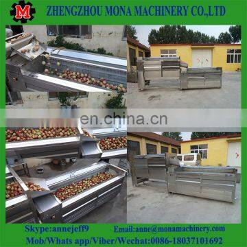 Vegetable and Fruit Washing and Peeling Machine/brush Washer and Peeler Machine for Sale photo-2