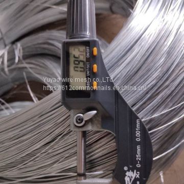 BWG 20 Galvanized iron wire 5kg for sale