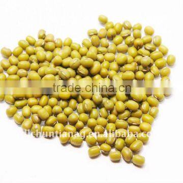 organic green mung bean