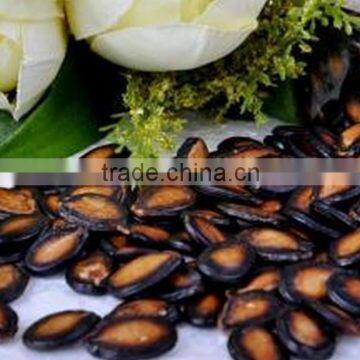 Dried melon seeds