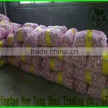 100% Organic Apple/Fuji Apple/Fresh Apples photo-6