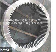 Sumitomo Swing Ring Slewing Bearing for Crane photo-2