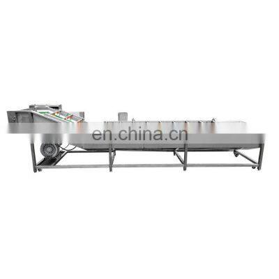 Industrial Vegetable Leaf Washing Machine Electric Cleaning Vegetable Mushroom Washer