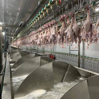 chicken slaughter machine duck slaughter equipment pigeon slaughter machine line