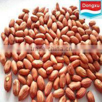 bulk Fair trade red peanut kernels