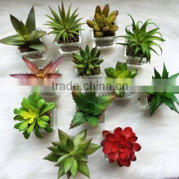 2016 New Arrival Home Decorative Mini succulent artificial plant wholesale with pot