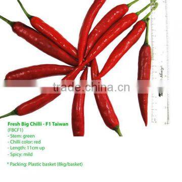 F1 BIG FRESH RED CHILLIES