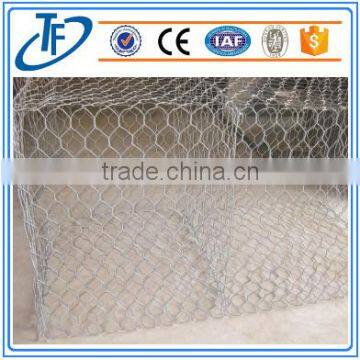 Factory galvanized Chicken wire mesh