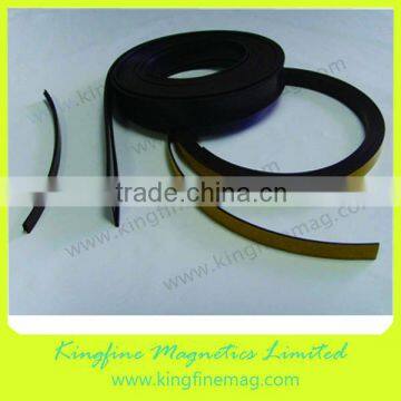 Anisotropic magnetic strip