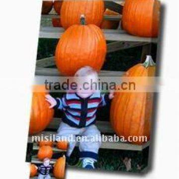 Mini Color DIY Inkjet Cotton Canvas Frame Letter size