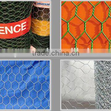 Pvc Coatted Hexagonal Wire Netting photo-6