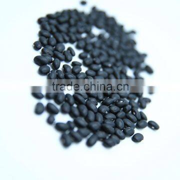 Black Kidney Beans Black Kidney Beans photo-3