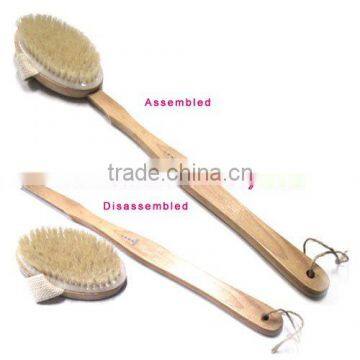 Bath Brush
