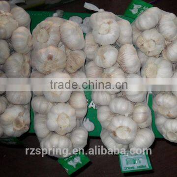 Best Quality and Competitive Price Fresh Garlic Normal White JINXIANG ORIGIN