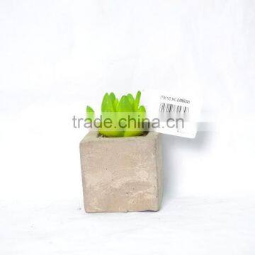 Green Artificial Succulent Plant In Square Cement Pot