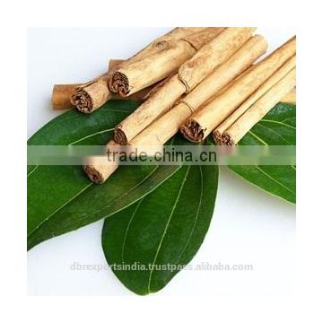 Cinnamon Leaf Oil from India