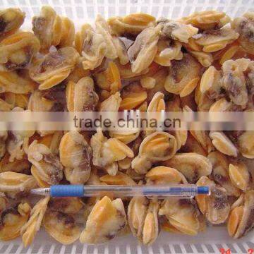 frozen yellow clam meat