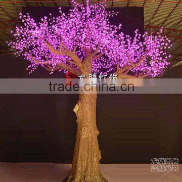 Led Yellow Maple Trees Sell photo-2