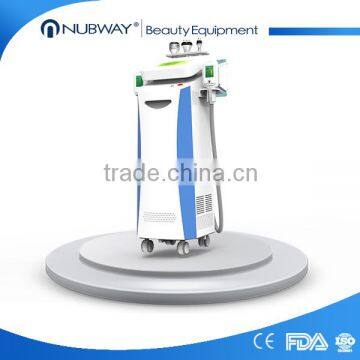NEWS! Sales Promotion Professtional 2 Hand Pieces Cryolipolysis Vertical Fat Removing Cryolipolysis System photo-2