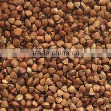 BUCKWHEAT KERNELS BULK