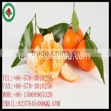 Navel Oranges